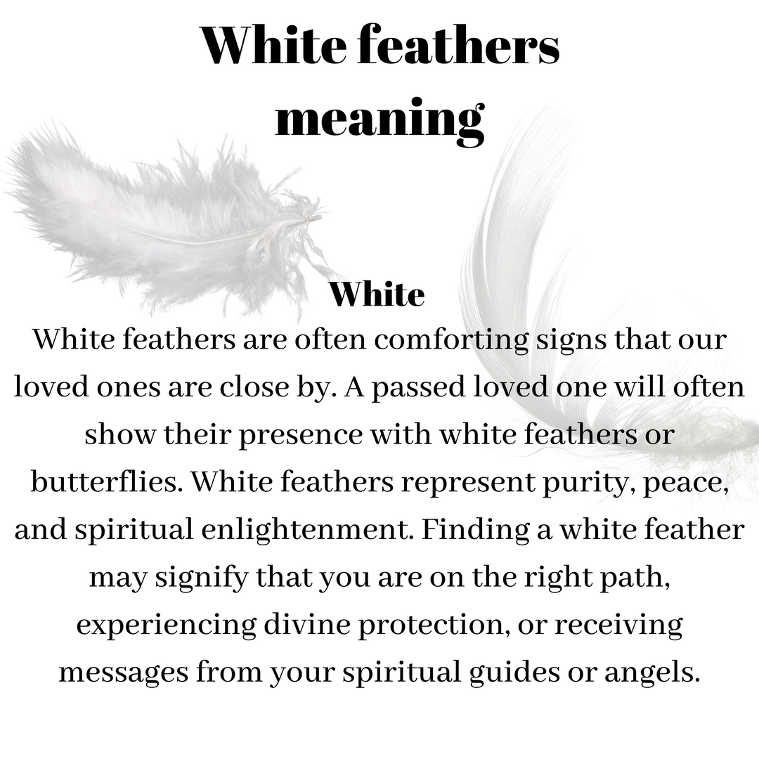 Black Feather Meaning, What Does the Black Feather Mean?