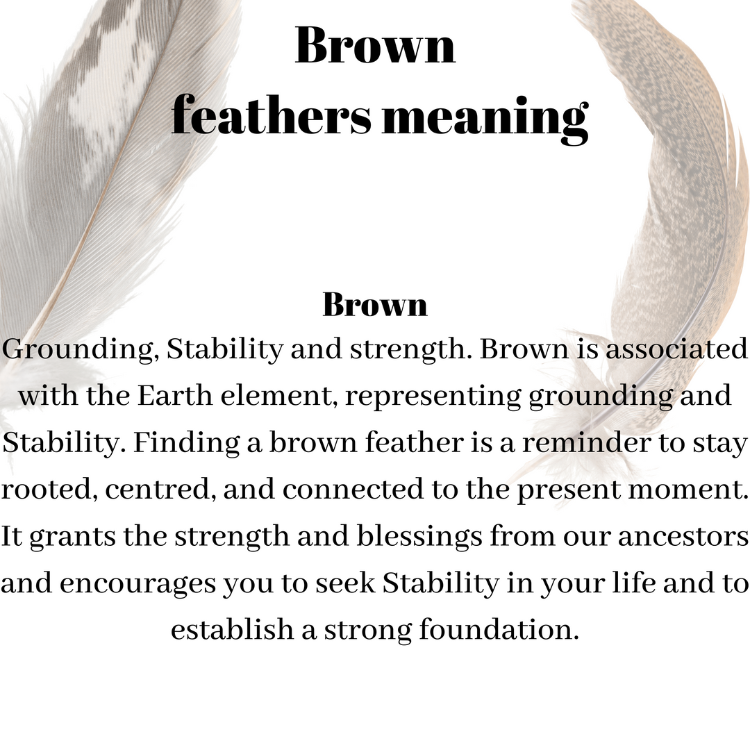 Brown Feathers  Brown feather meaning, Feather magic, Feather meaning