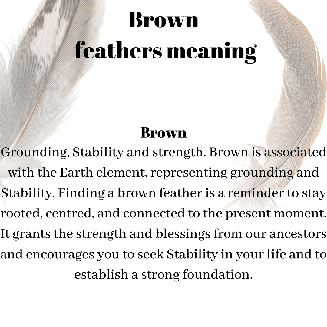 Feather colours and their meaning – Spirit Elements Ltd