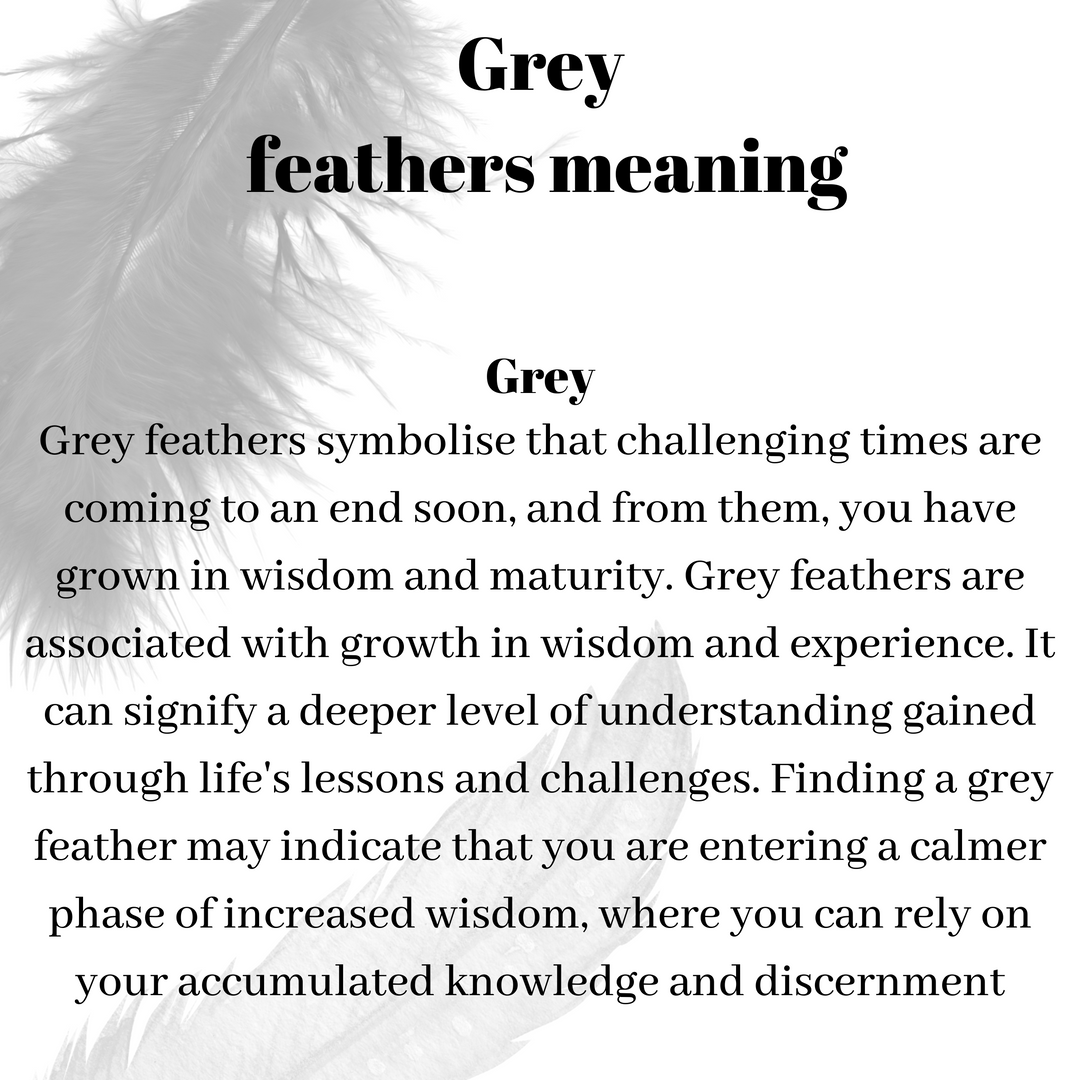 What is the meaning of finding a White Feather? - Meaning Of Feathers