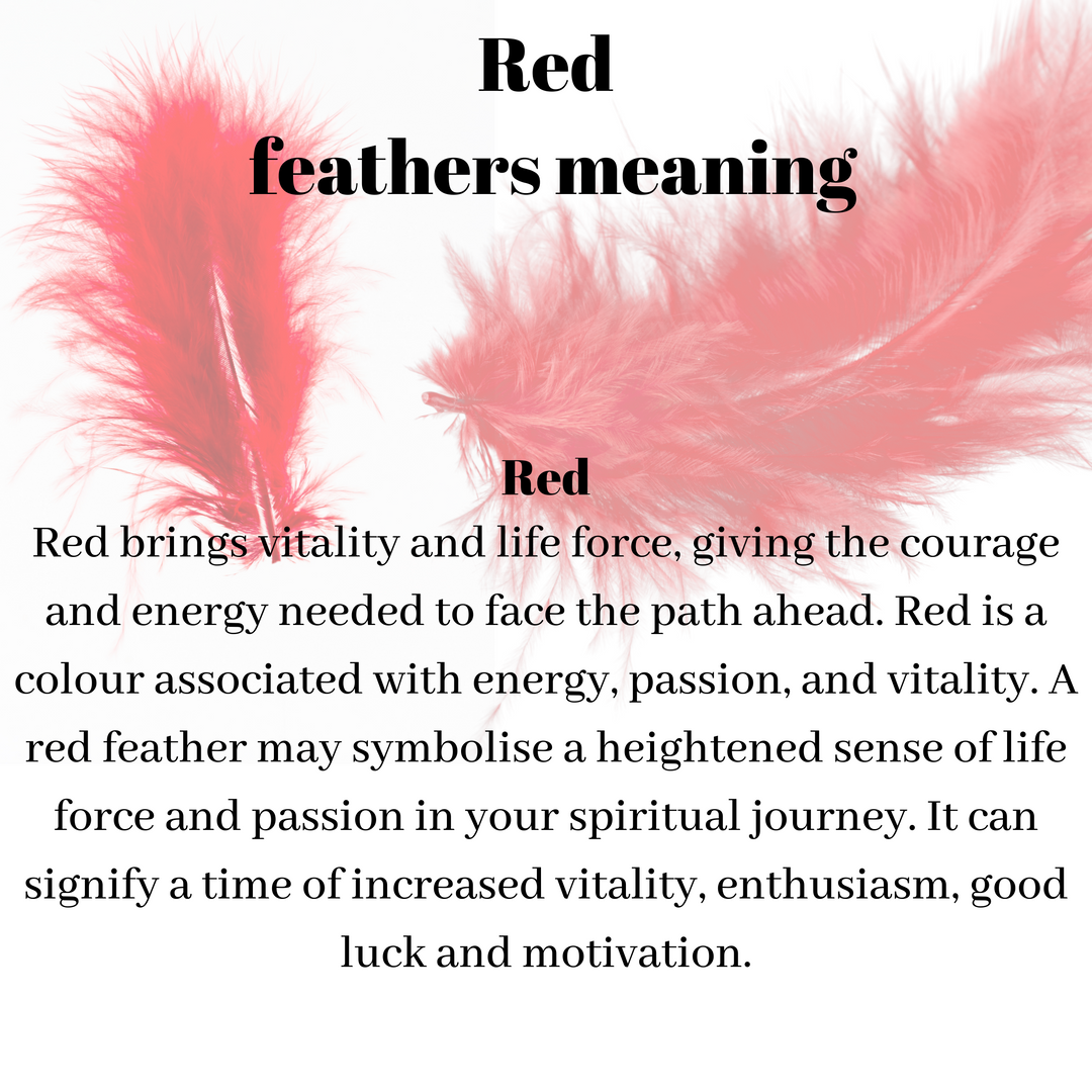 Reds - Feathers By Colour - Feathers