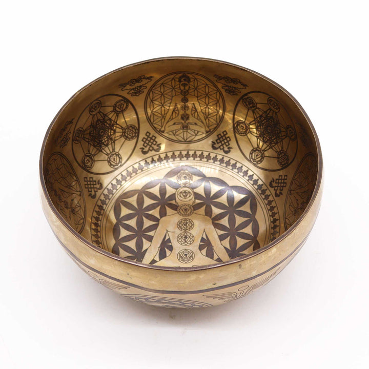 Tibetan Healing Engraved singing Bowl  7 Chakra 16cm
