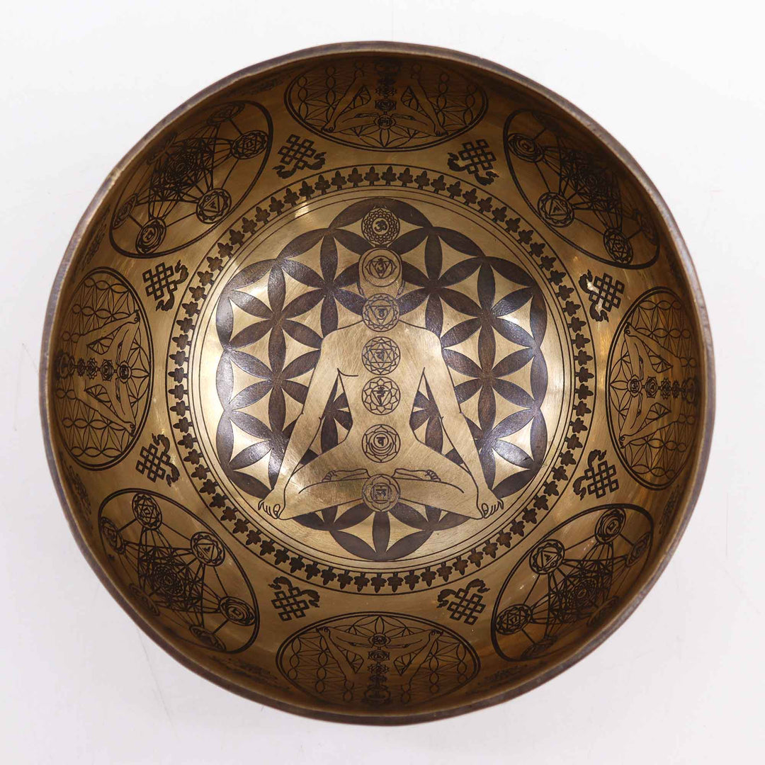 Tibetan Healing Engraved singing Bowl  7 Chakra 16cm