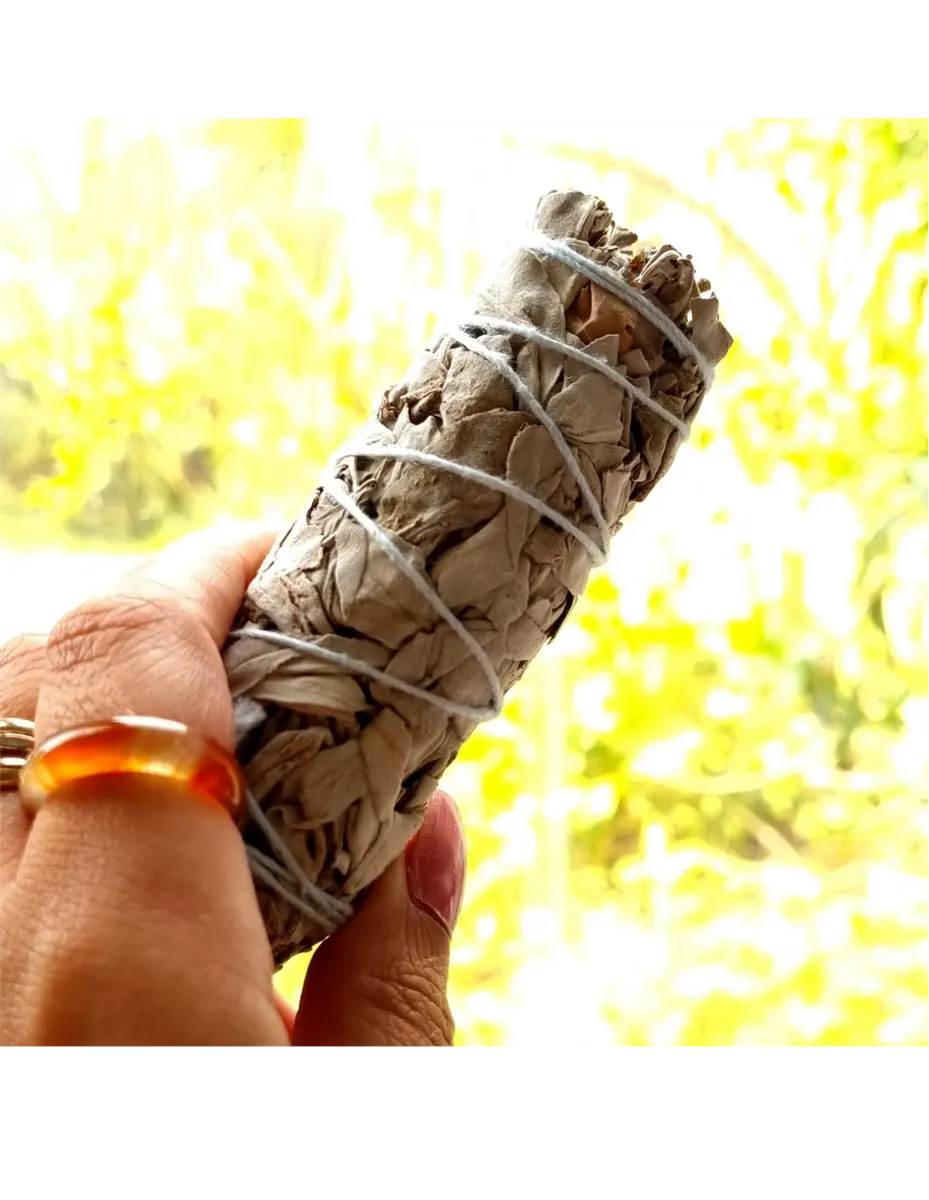White sage smudge stick