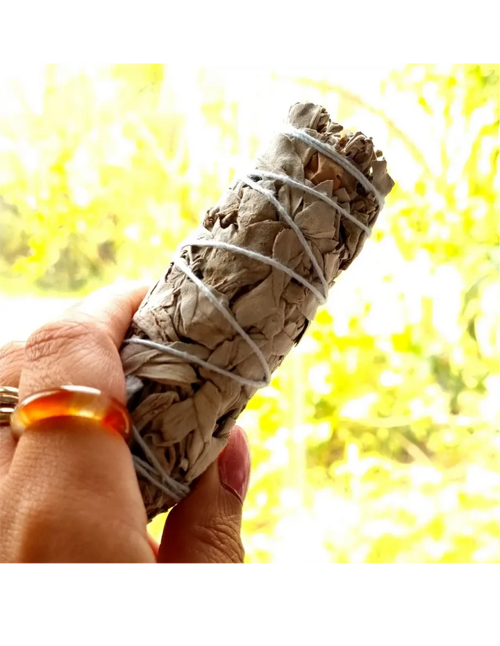 White sage smudge stick