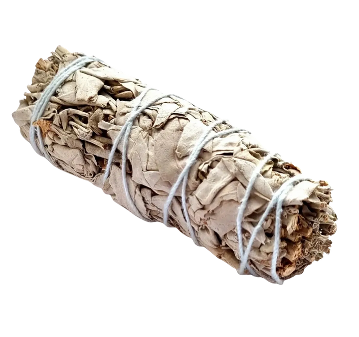White sage smudge stick
